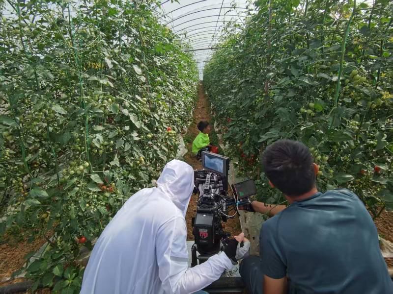 平阴县产品宣传视频拍摄公司进阶指南，助力品牌抢占传播高地